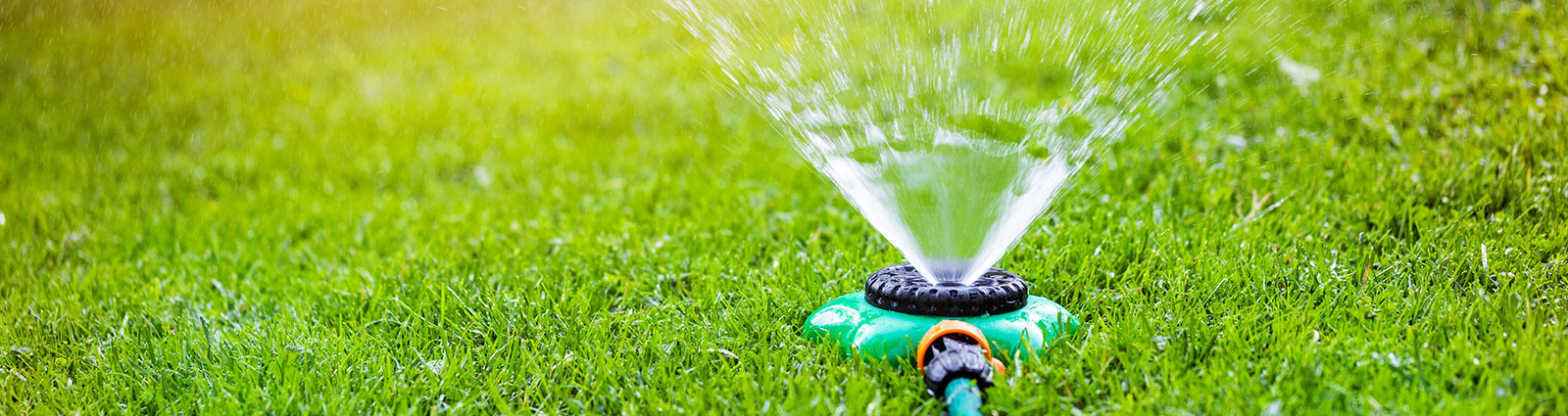 Broward & Palm Beach County Lawn Fertilization 